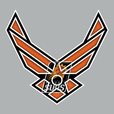 Airforce Phoenix Suns Logo iron on paper